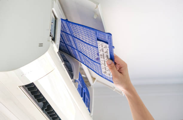 Best Air Duct Cleaning Company Near Me  in Mayo, FL