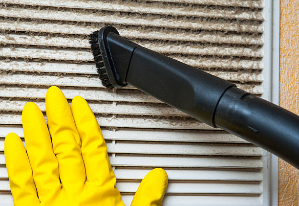 Best Air Duct Cleaning Near Me  in Mayo, FL