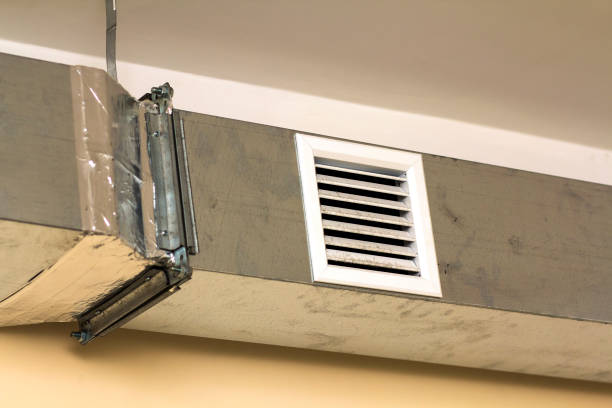 Best Local Air Duct Cleaning Services  in Mayo, FL