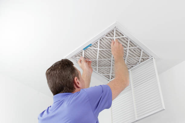 Best Dryer Vent Cleaning Services  in Mayo, FL
